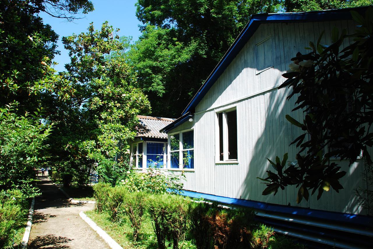 Baza Otdyha Miya Gudauta Exterior photo
