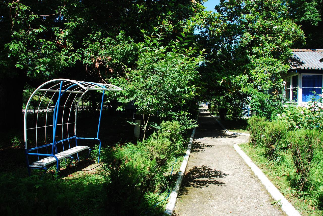 Baza Otdyha Miya Gudauta Exterior photo